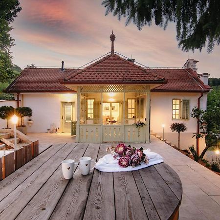 Vila Vilma Vineyard Cottage Lendava Extérieur photo