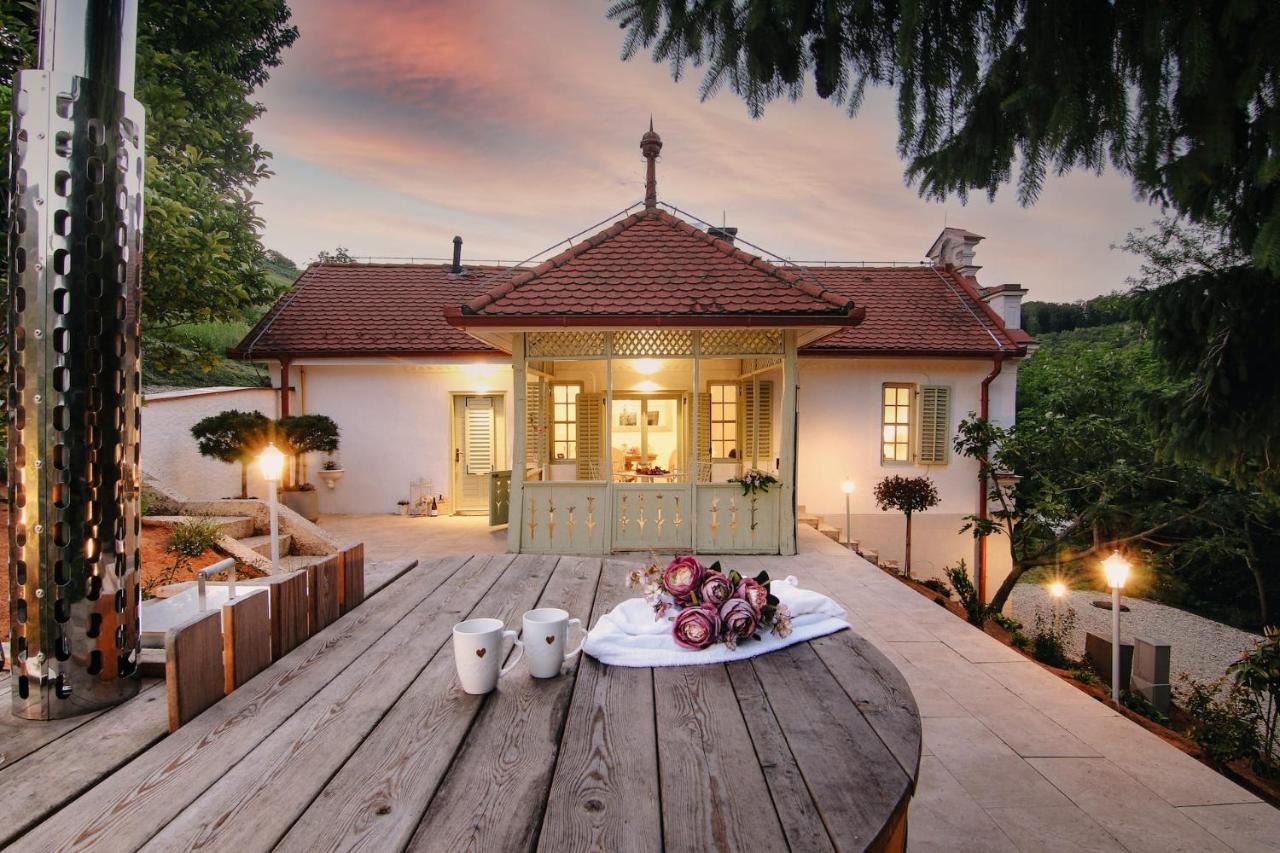 Vila Vilma Vineyard Cottage Lendava Extérieur photo
