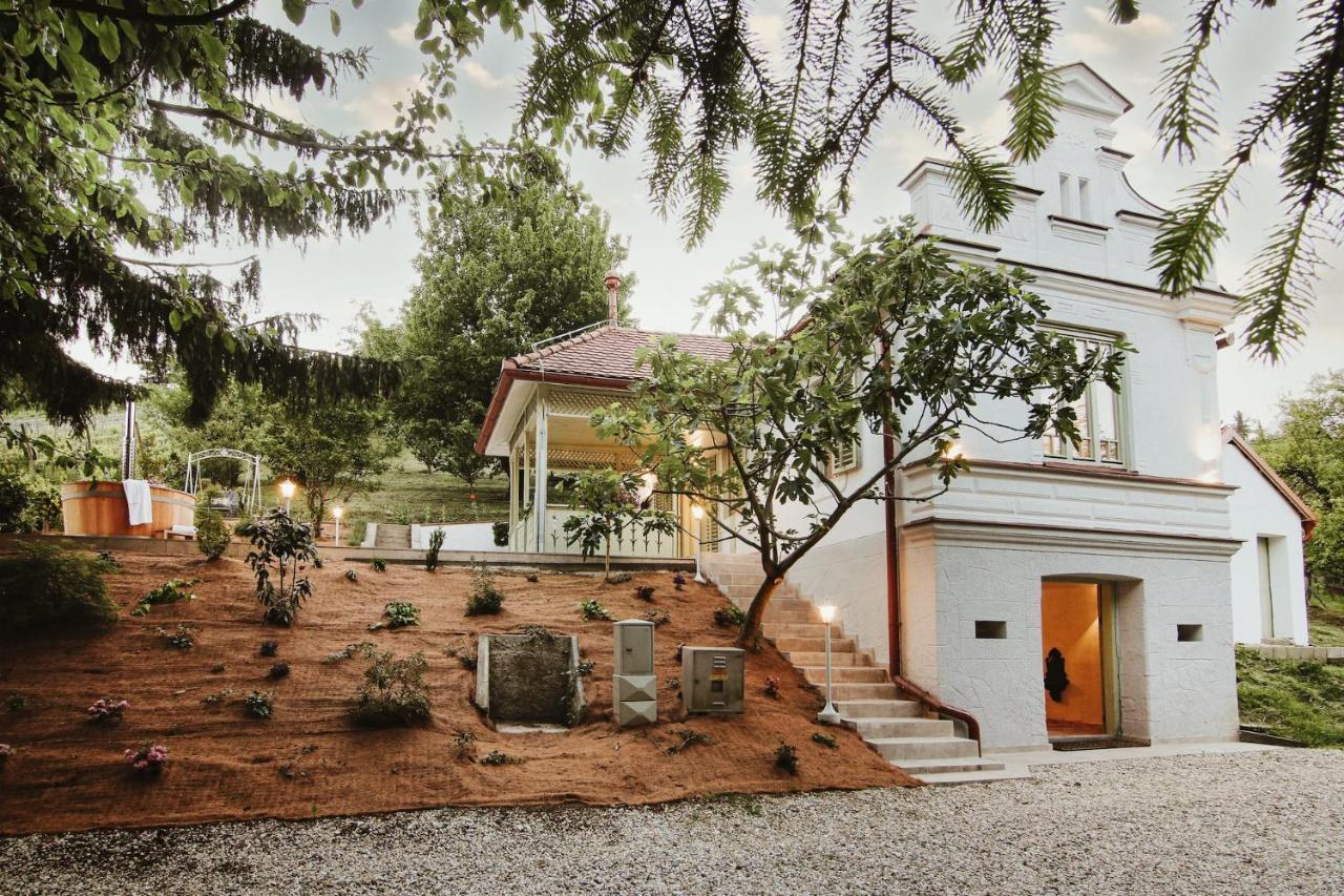 Vila Vilma Vineyard Cottage Lendava Extérieur photo
