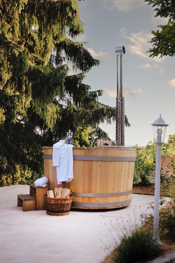 Vila Vilma Vineyard Cottage Lendava Extérieur photo