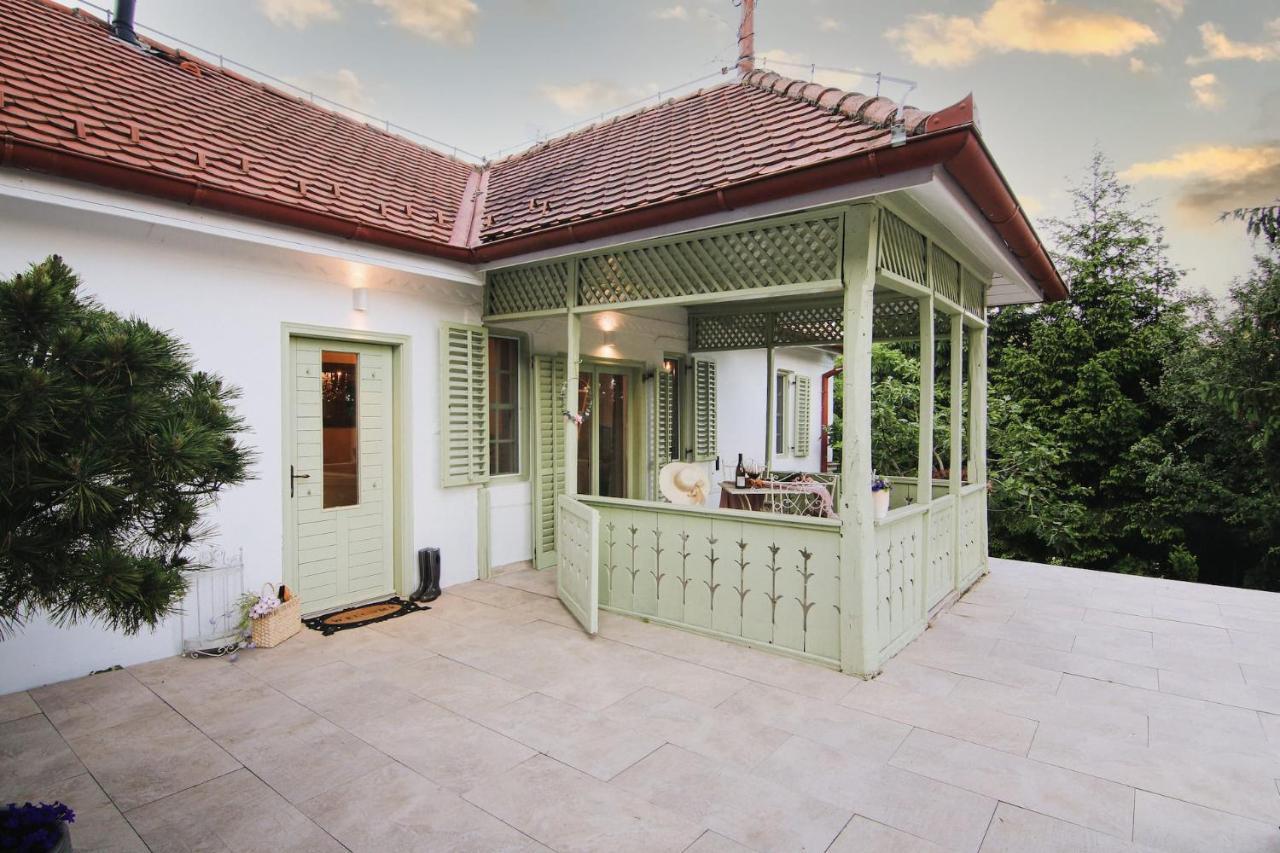 Vila Vilma Vineyard Cottage Lendava Extérieur photo
